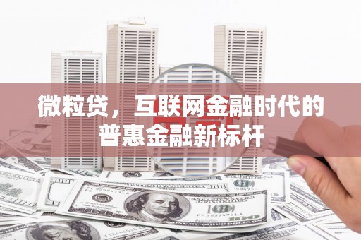 万峦微粒贷，互联网金融时代的普惠金融新标杆