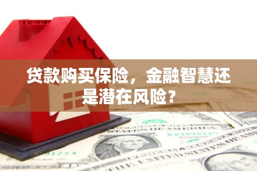 万峦贷款购买保险，金融智慧还是潜在风险？