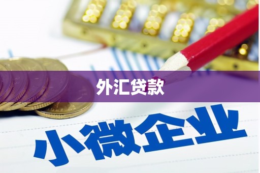 万峦外汇贷款