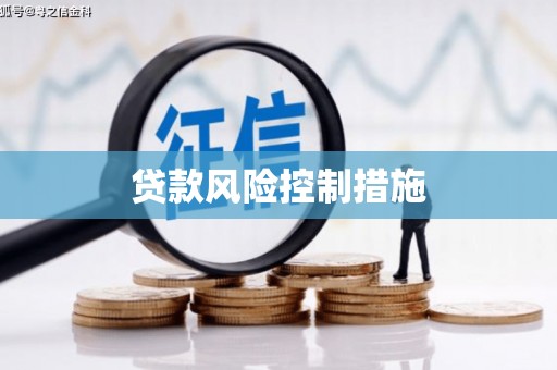 万峦贷款风险控制措施