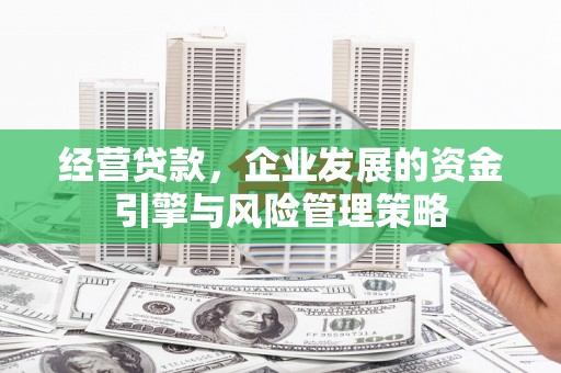 万峦经营贷款，企业发展的资金引擎与风险管理策略