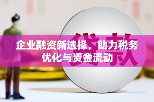 万峦企业融资新选择，助力税务优化与资金流动