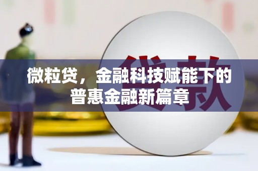 万峦微粒贷，金融科技赋能下的普惠金融新篇章