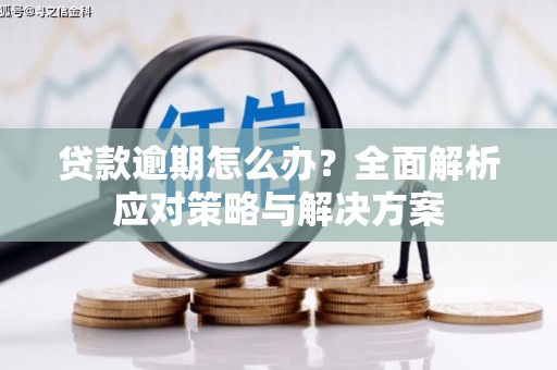 万峦贷款逾期怎么办？全面解析应对策略与解决方案