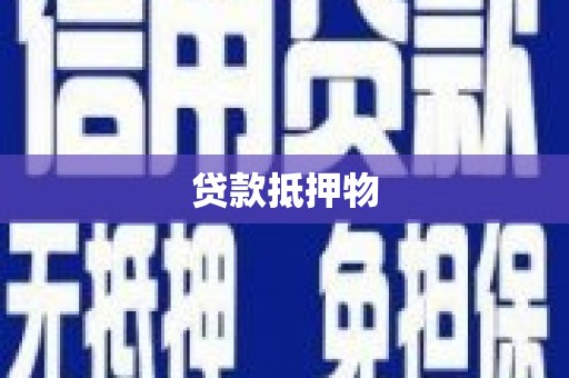 万峦贷款抵押物