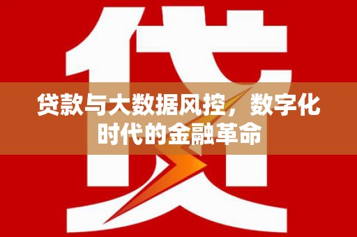 万峦贷款与大数据风控，数字化时代的金融革命