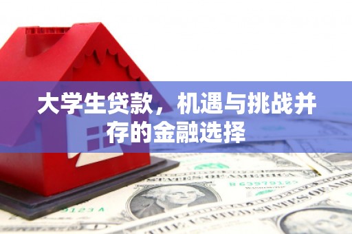 万峦大学生贷款，机遇与挑战并存的金融选择