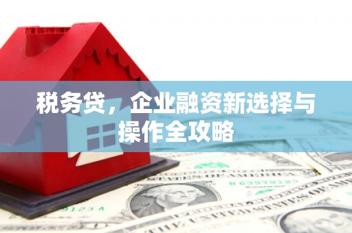 万峦税务贷，企业融资新选择与操作全攻略