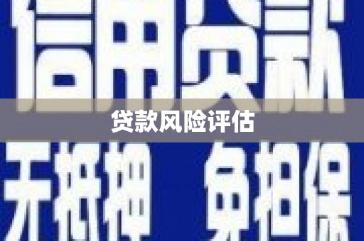 万峦贷款风险评估