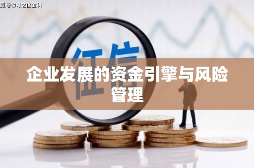万峦企业发展的资金引擎与风险管理