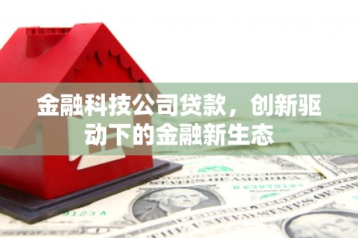 万峦金融科技公司贷款，创新驱动下的金融新生态