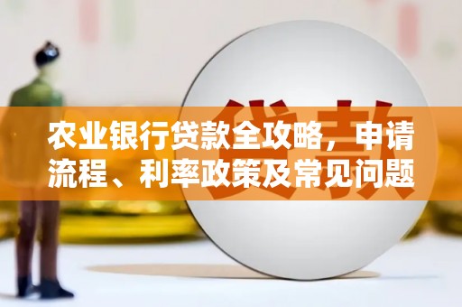 万峦农业银行贷款全攻略，申请流程、利率政策及常见问题解析