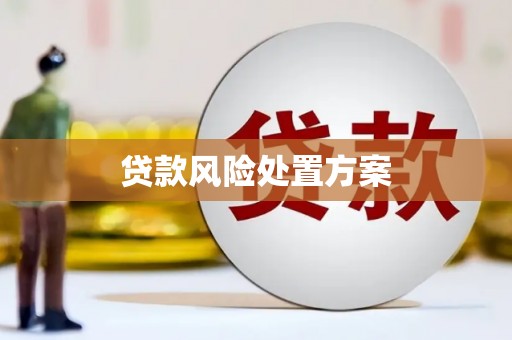 万峦贷款风险处置方案