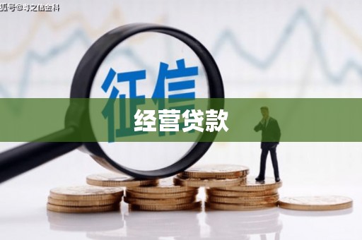万峦经营贷款