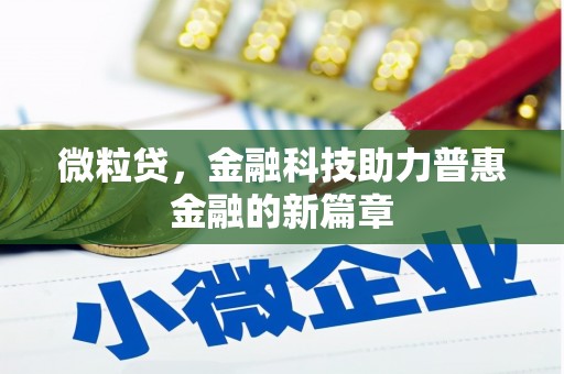 万峦微粒贷，金融科技助力普惠金融的新篇章