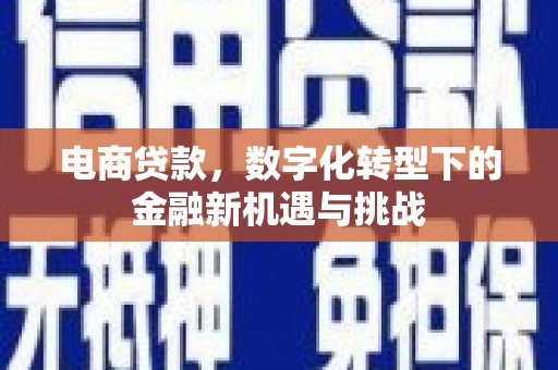 万峦电商贷款，数字化转型下的金融新机遇与挑战