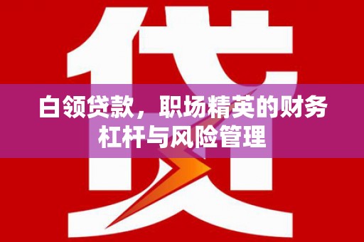 万峦白领贷款，职场精英的财务杠杆与风险管理