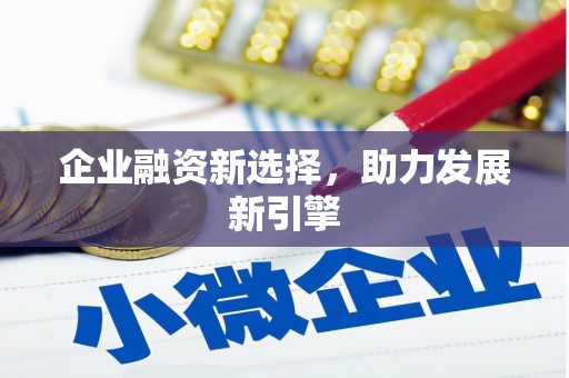万峦企业融资新选择，助力发展新引擎