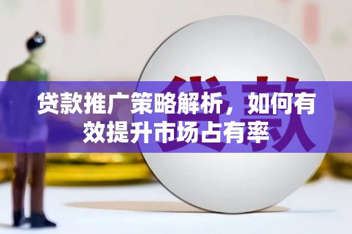 万峦贷款推广策略解析，如何有效提升市场占有率