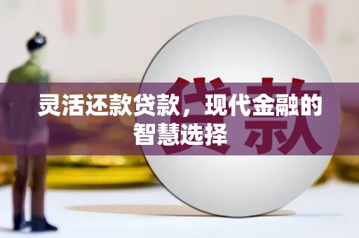 万峦灵活还款贷款，现代金融的智慧选择