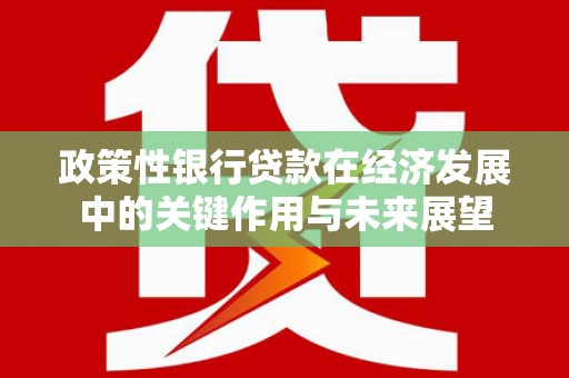 万峦政策性银行贷款在经济发展中的关键作用与未来展望