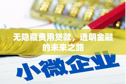 万峦无隐藏费用贷款，透明金融的未来之路