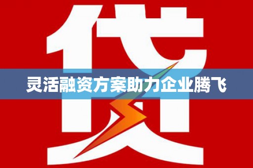 万峦灵活融资方案助力企业腾飞