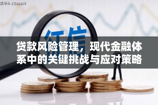 万峦贷款风险管理，现代金融体系中的关键挑战与应对策略