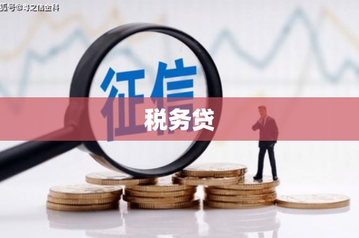 万峦税务贷