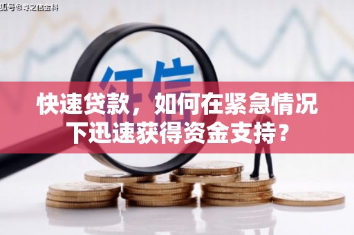 万峦快速贷款，如何在紧急情况下迅速获得资金支持？