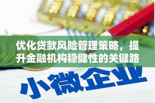 万峦优化贷款风险管理策略，提升金融机构稳健性的关键路径