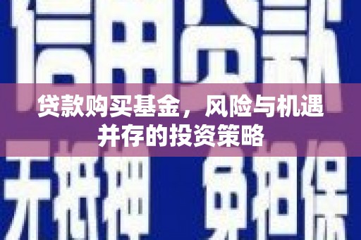 万峦贷款购买基金，风险与机遇并存的投资策略