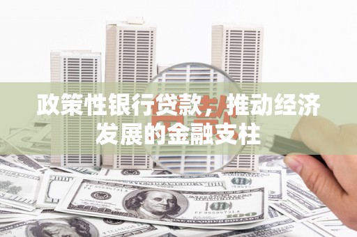 万峦政策性银行贷款，推动经济发展的金融支柱