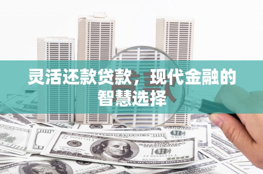 万峦灵活还款贷款，现代金融的智慧选择