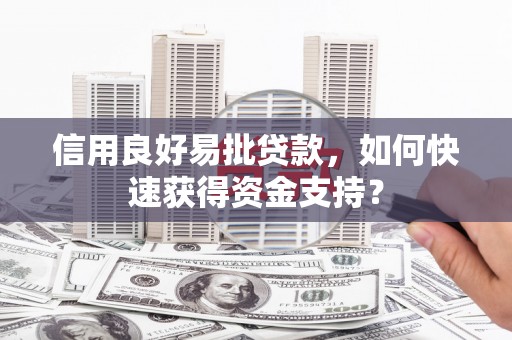 万峦信用良好易批贷款，如何快速获得资金支持？