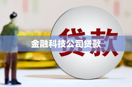 万峦金融科技公司贷款
