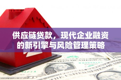 万峦供应链贷款，现代企业融资的新引擎与风险管理策略