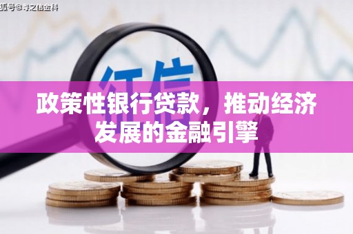 万峦政策性银行贷款，推动经济发展的金融引擎
