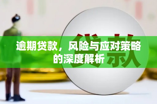 万峦逾期贷款，风险与应对策略的深度解析