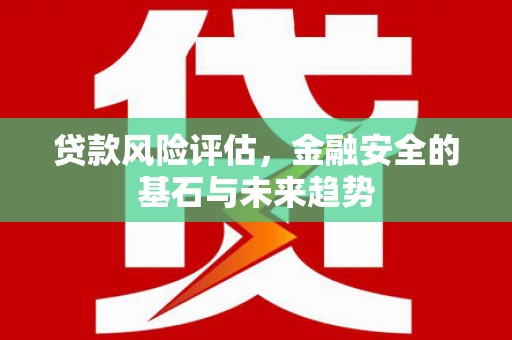 万峦贷款风险评估，金融安全的基石与未来趋势