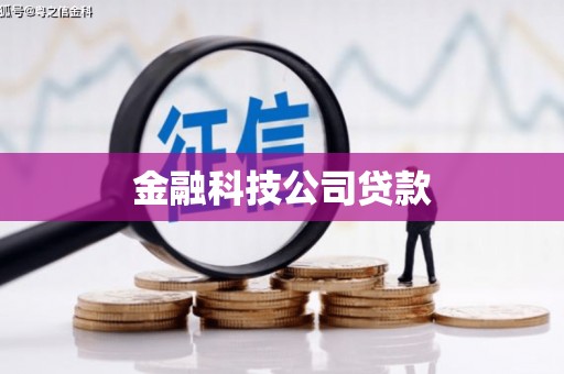 万峦金融科技公司贷款