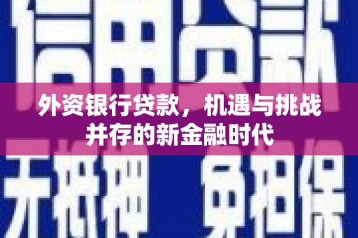 万峦外资银行贷款，机遇与挑战并存的新金融时代