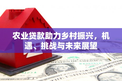 万峦农业贷款助力乡村振兴，机遇、挑战与未来展望