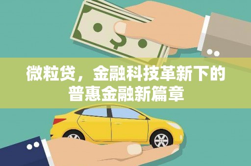 万峦微粒贷，金融科技革新下的普惠金融新篇章