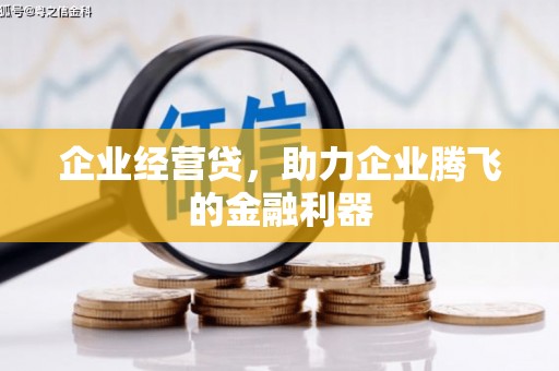 万峦企业经营贷，助力企业腾飞的金融利器