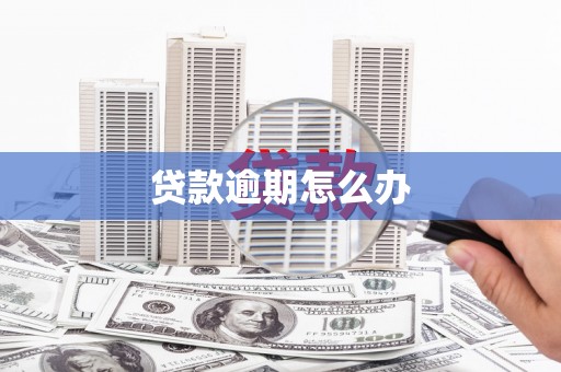 万峦贷款逾期怎么办