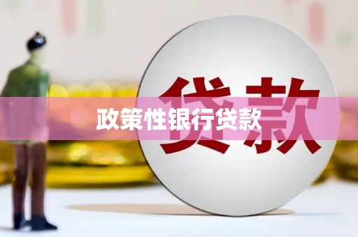 万峦政策性银行贷款