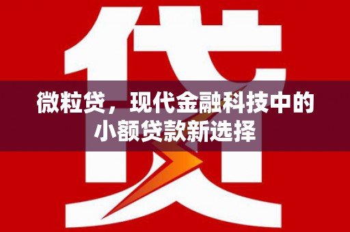 万峦微粒贷，现代金融科技中的小额贷款新选择
