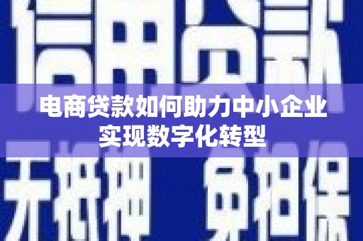 万峦电商贷款如何助力中小企业实现数字化转型