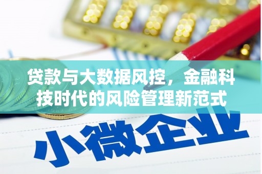 万峦贷款与大数据风控，金融科技时代的风险管理新范式